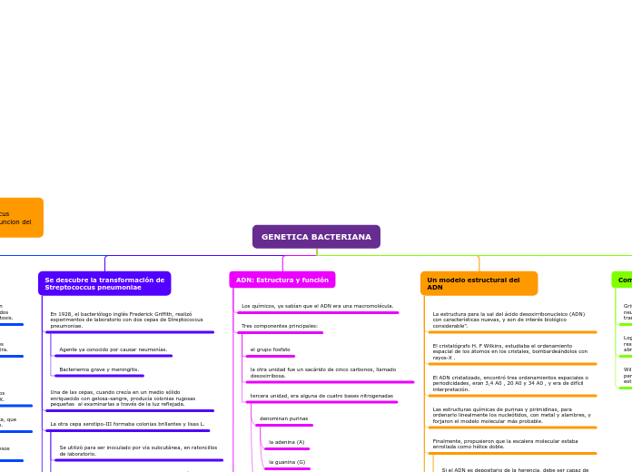 GENETICA BACTERIANA