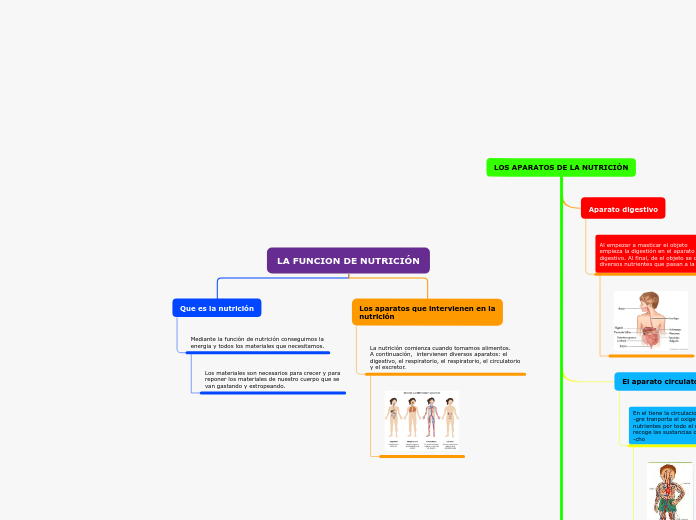 LA FUNCION DE NUTRICIÓN