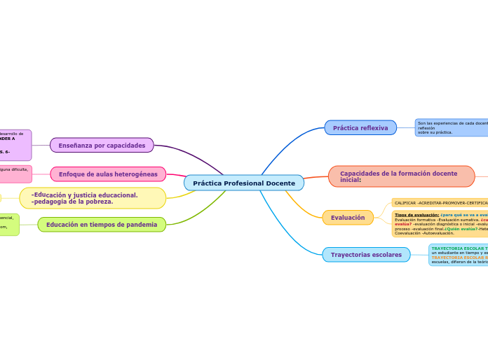 Práctica Profesional Docente