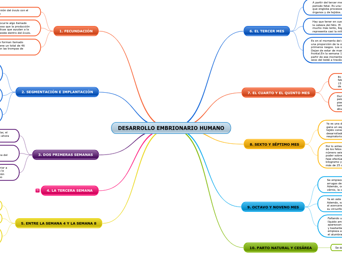 DESARROLLO EMBRIONARIO HUMANO