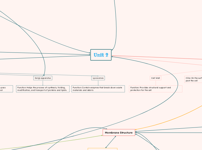 Bio Concept Map