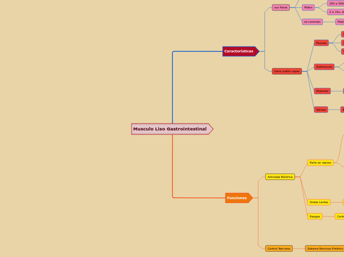 Musculo Liso Gastrointestinal