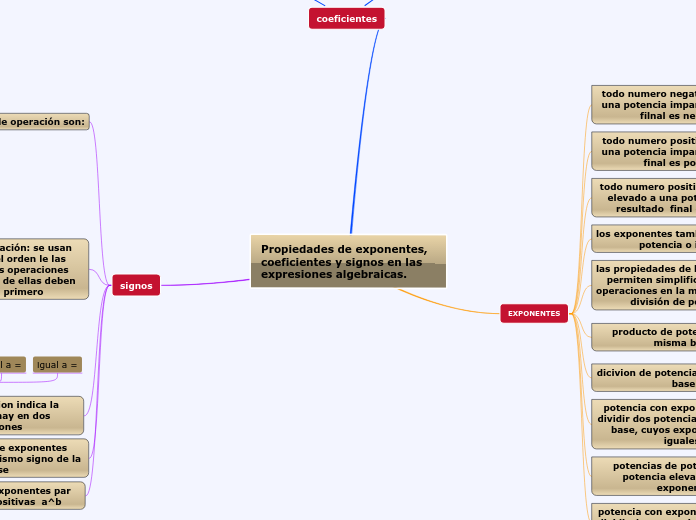 Propiedades de exponentes, coeficientes y signos en las expresiones algebraicas.