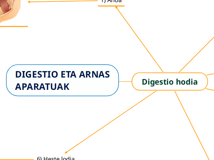 DIGESTIO ETA ARNAS
APARATUAK