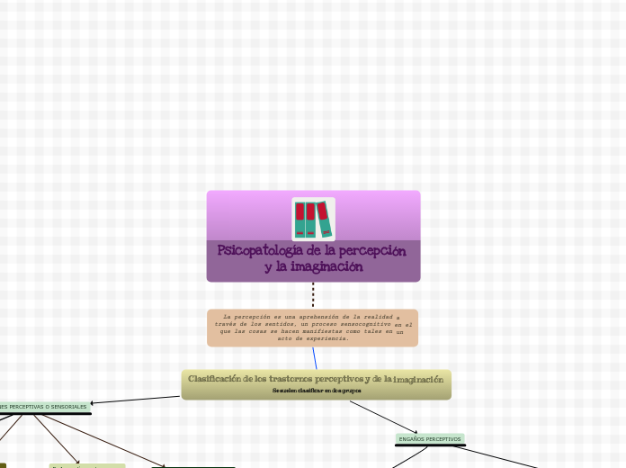 Psicopatología de la percepción y la imaginación