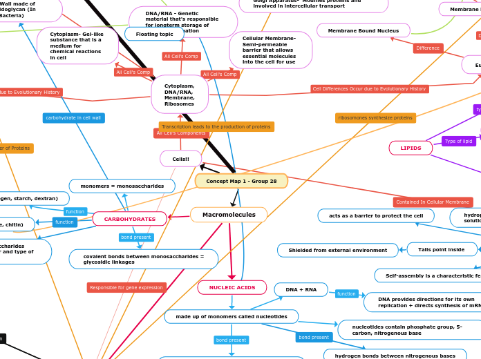 Concept Map 1 - Group 28