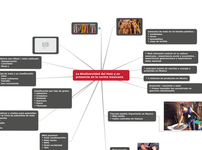 La Biodiversidad del Maiz y su presencia en la cocina mexicana