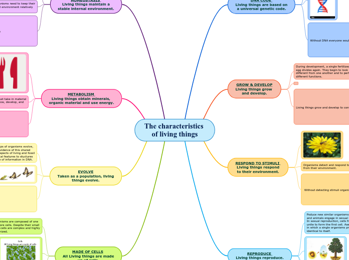 The characteristics of living things (Student)