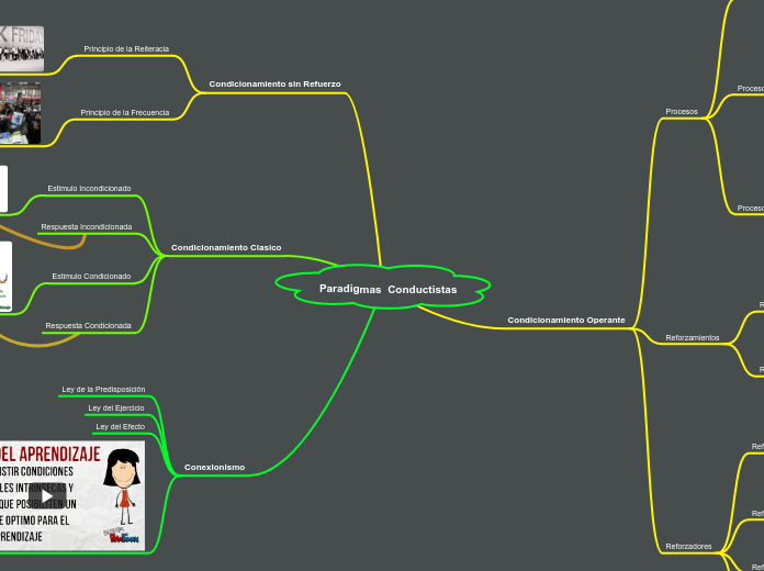 Paradigmas  Conductistas