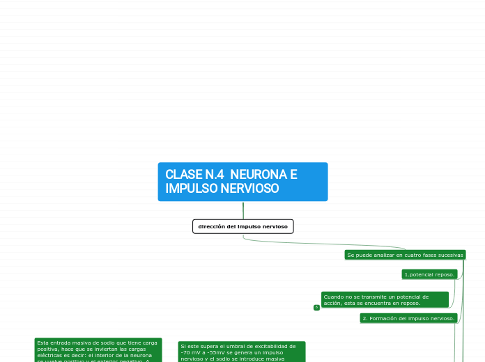 CLASE N.4  NEURONA E IMPULSO NERVIOSO