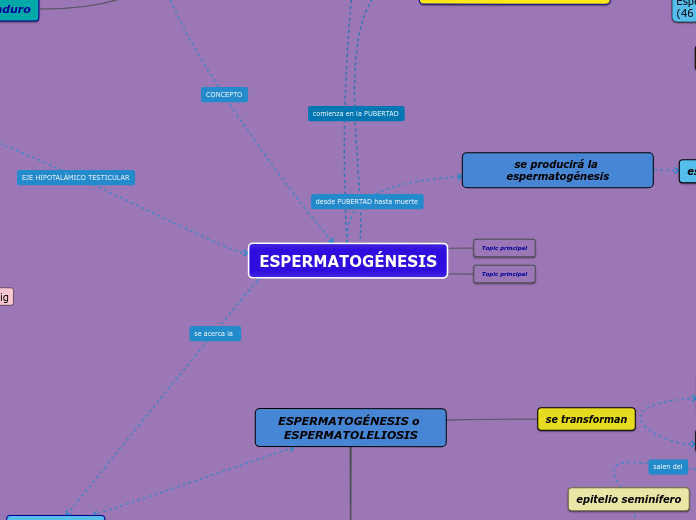 ESPERMATOGÉNESIS