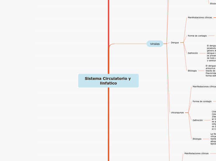 Sistema Circulatorio y linfatico