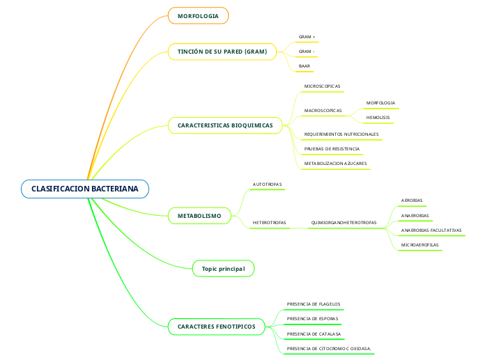 CLASIFICACION BACTERIANA