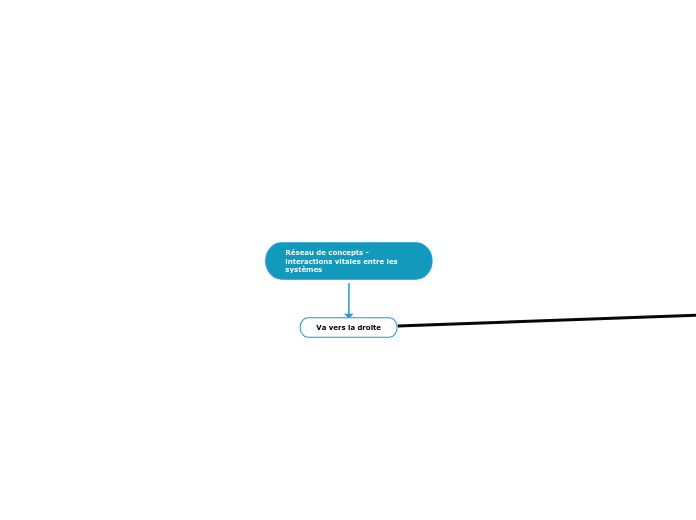 Réseau de concepts - interactions vitales entre les systèmes