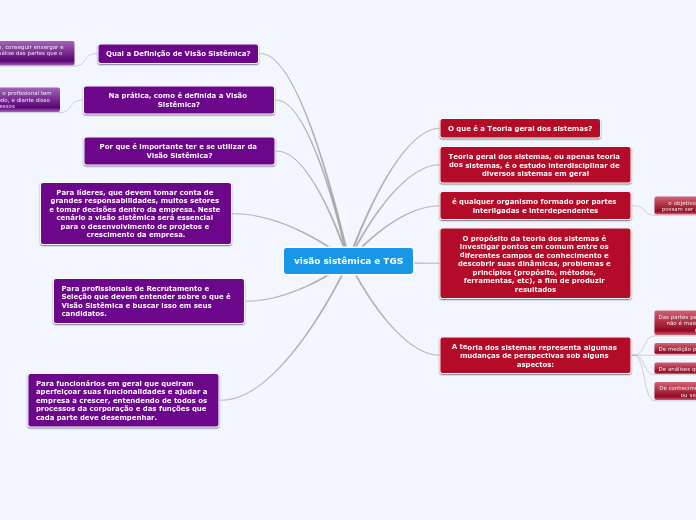 visão sistêmica e TGS