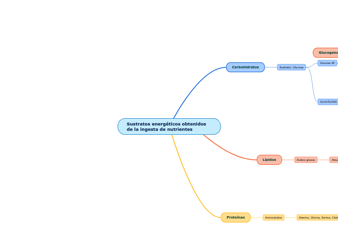 Sustratos energéticos obtenidos de la ingesta de nutrientes