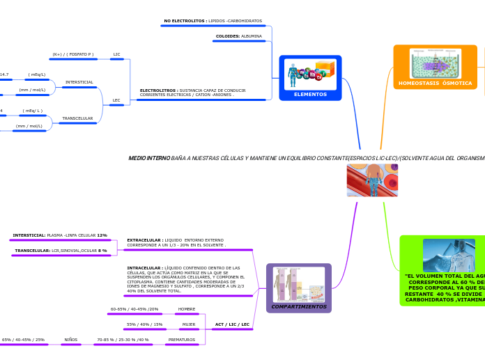 MEDIO INTERNO BAÑA A NUESTRAS CÉLULAS Y MANTIENE UN EQUILIBRIO CONSTANTE(ESPACIOS LIC-LEC)/(SOLVENTE AGUA DEL ORGANISMO)/(SOLUTOS ELECTROLITROS -NO ELEC, COLOIDES)