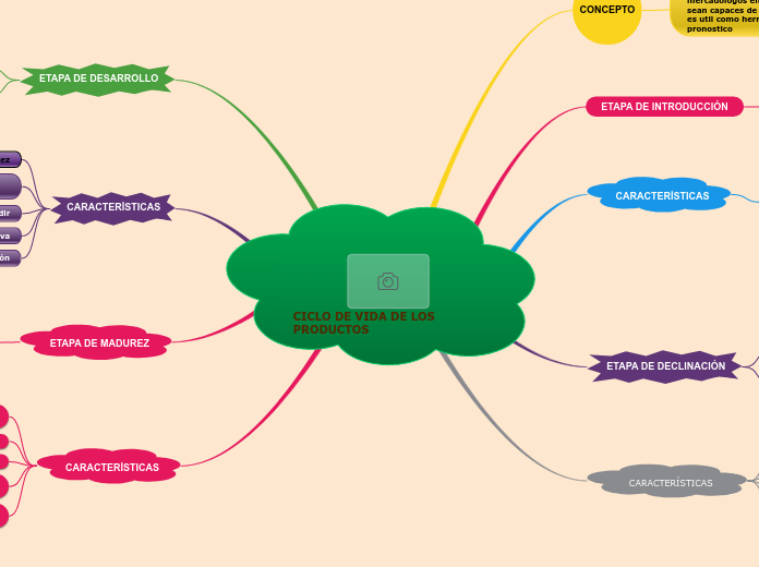 CICLO DE VIDA DE LOS PRODUCTOS