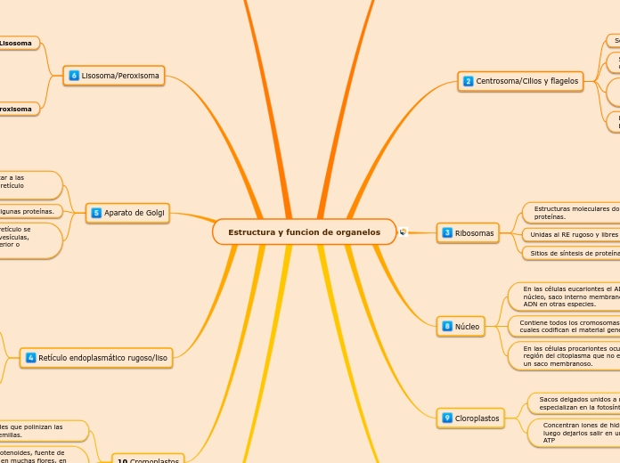 Estructura y funcion de organelos