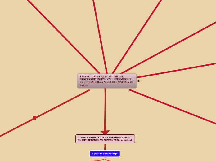 TRAYECTORIA Y ACTUALIDAD DEL PROCESO DE ENSEÑANZA –APRENDIZAJE EN ENFERMERÍA A NIVEL DEL SISTEMA DE SALUD