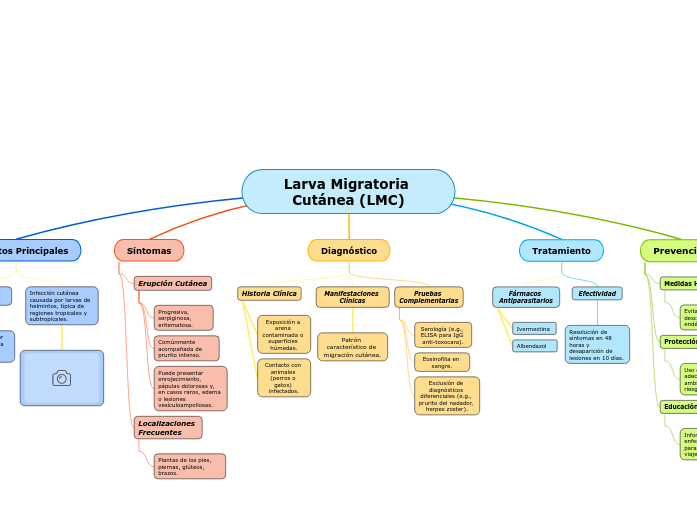 Larva Migratoria Cutánea (LMC)