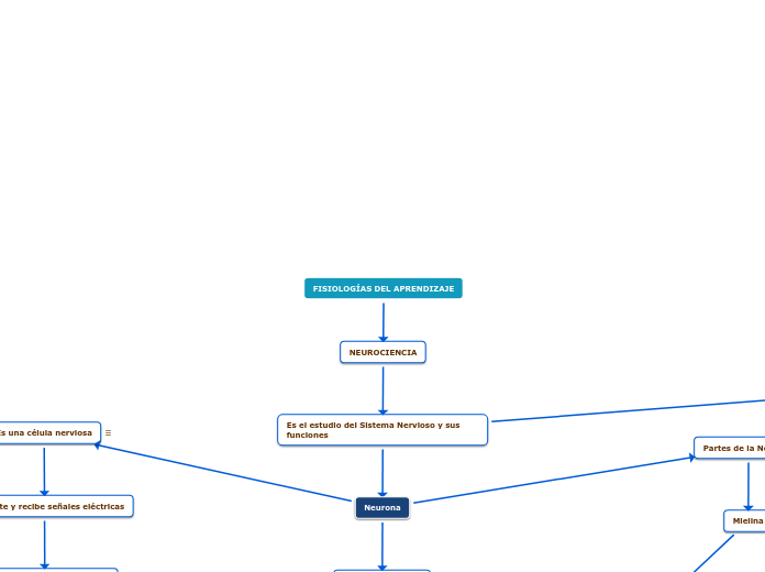 FISIOLOGÍAS DEL APRENDIZAJE