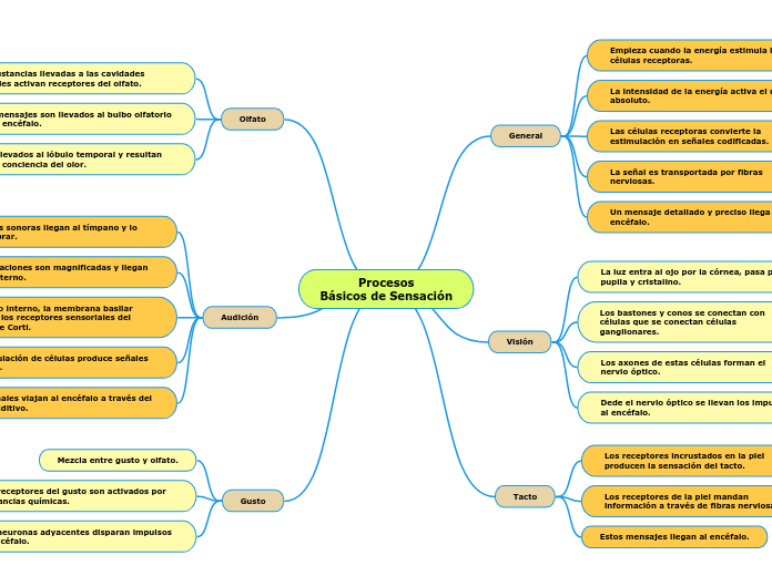 Procesos
Básicos de Sensación