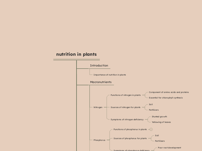 nutrition in plants