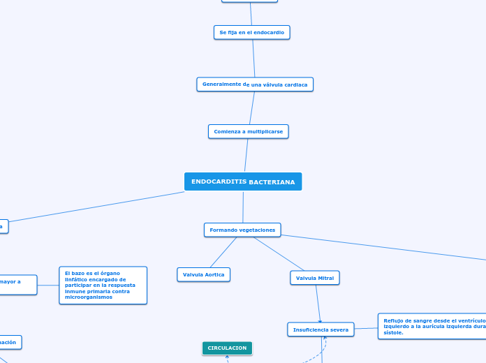 ENDOCARDITIS BACTERIANA