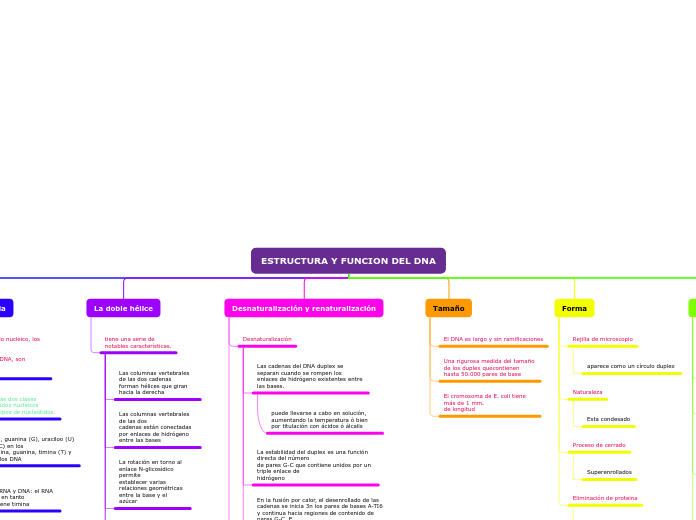 ESTRUCTURA Y FUNCION DEL DNA