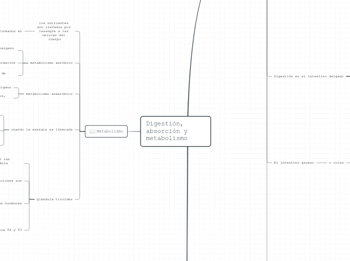 Digestión, absorción y metabolismo