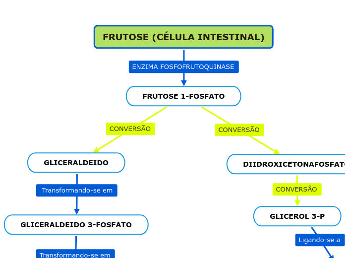 FRUTOSE (CÉLULA INTESTINAL)