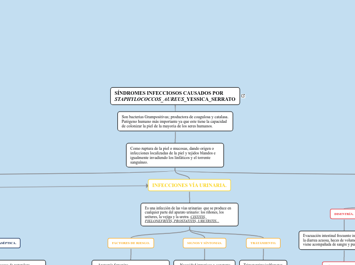 SÍNDROMES INFECCIOSOS CAUSADOS POR STAPHYLOCOCCOS AUREUS_YESSICA_SERRATO