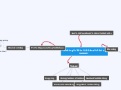 Sample Mind Map