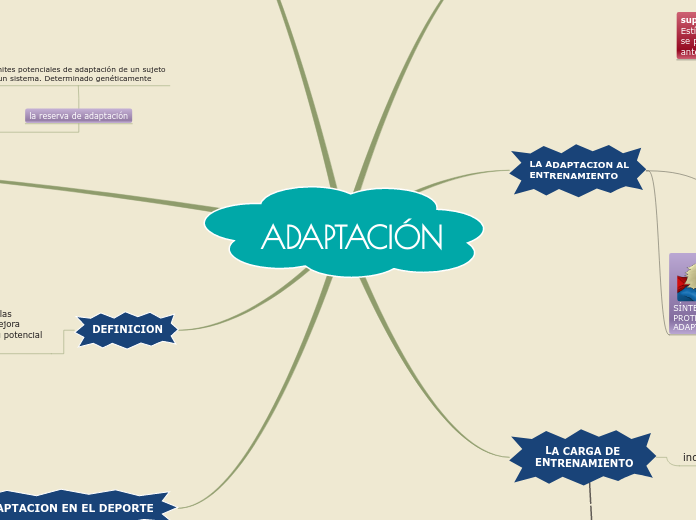 ADAPTACIÓN