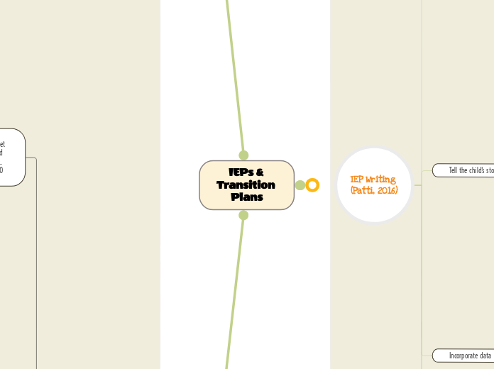 IEPs & Transition Plans