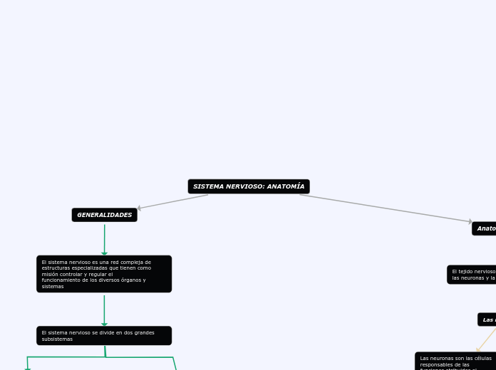 SISTEMA NERVIOSO: ANATOMÍA