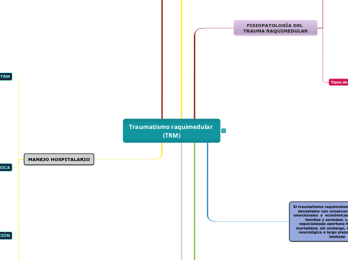 Traumatismo raquimedular (TRM)