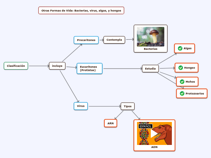 Otras Formas de Vida: Bacterias, virus, algas, y hongos