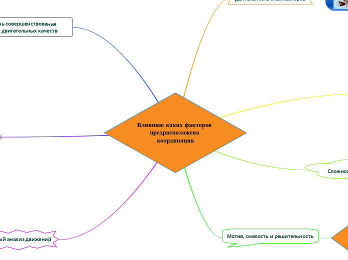Влиянию каких факторов предрасположена координация