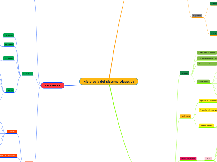 Histología del Sistema Digestivo