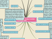 Sample Mind Map