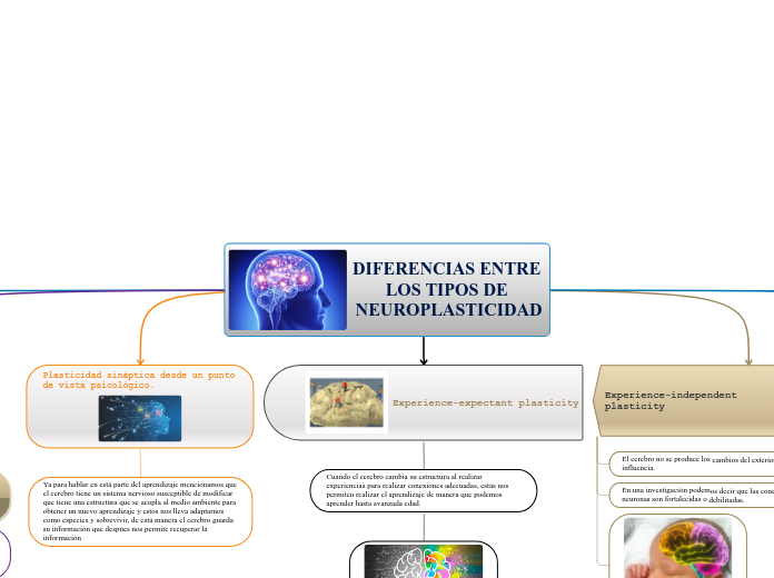 A2.Muela.S.Fundamentos de la Neurociencia Ed.