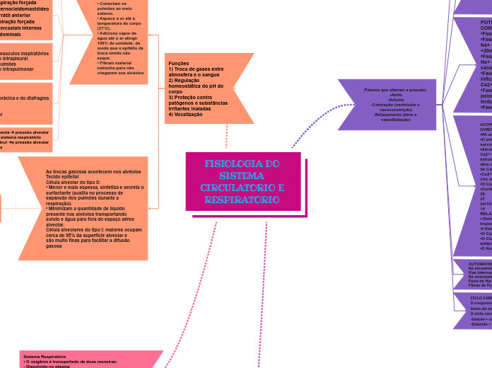 FISIOLOGIA DO SISTEMA CIRCULATORIO E RESPIRATORIO 