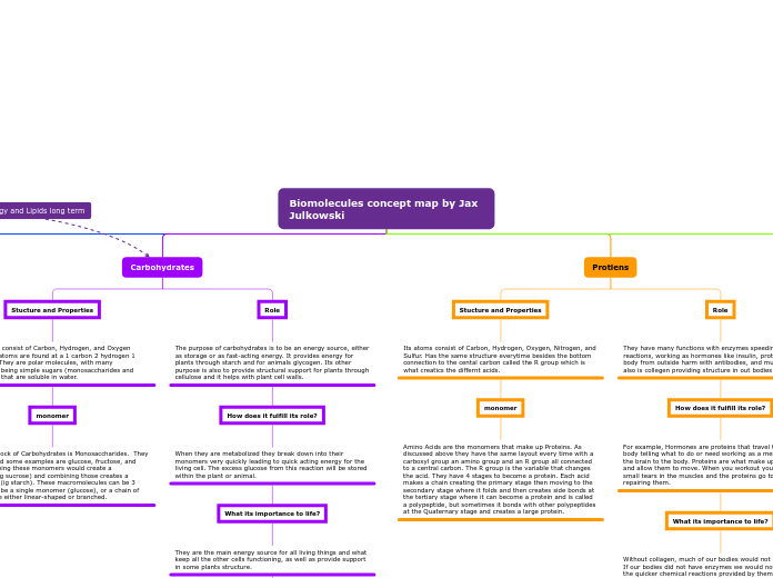 Biomolecules concept map by Jax Julkowski