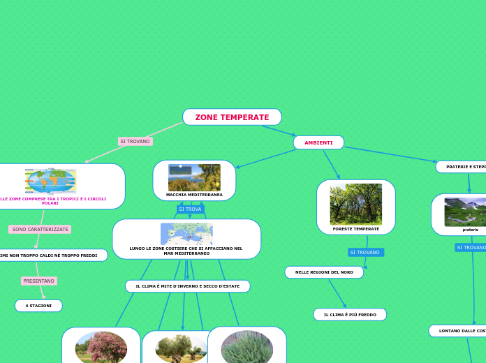 ZONE TEMPERATE