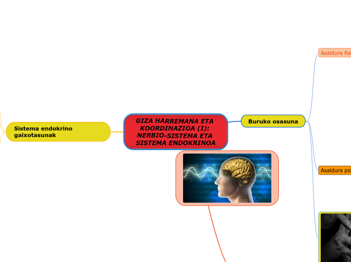 GIZA HARREMANA ETA KOORDINAZIOA (I): NERBIO-SISTEMA ETA SISTEMA ENDOKRINOA