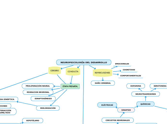 NEUROPSICOLOGÍA DEL DESARROLLO