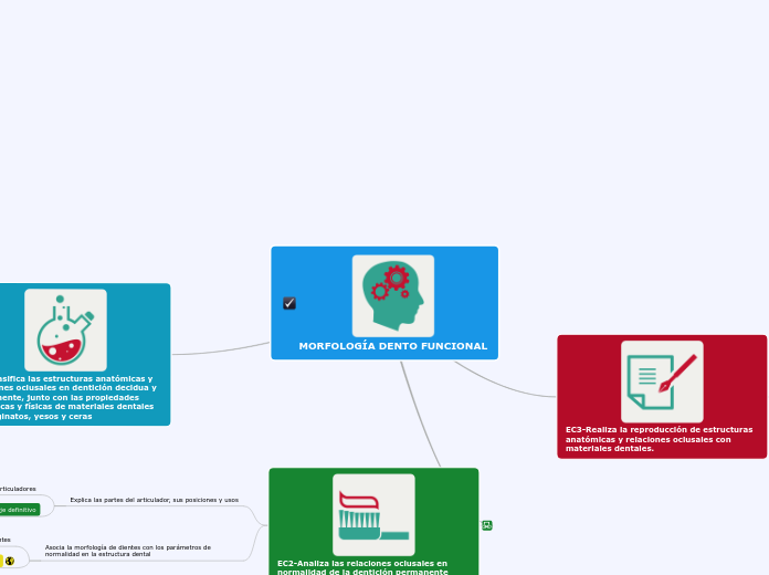 MORFOLOGÍA DENTO FUNCIONAL