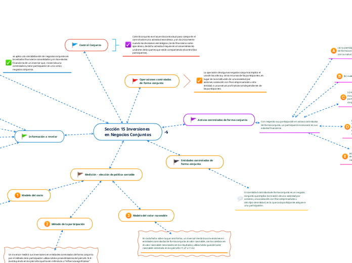 Sección 15 Inversiones en Negocios Conjuntos
